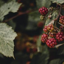 Argentina's Nature . % Queen Kind tarafından hazırlanan Açık Hava Fotoğrafçılığı projesi - 11.20.2020