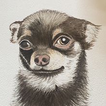 Mi Proyecto del curso: Técnicas experimentales de acuarela para principiantes . Ilustração tradicional, Artes plásticas, Pintura em aquarela e Ilustração naturalista projeto de Pascale Colin - 21.11.2020