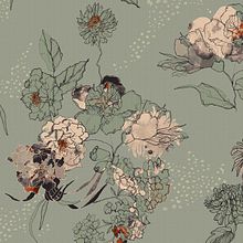 OUTLINE BLOOMING Ein Projekt aus dem Bereich Botanische Illustration von Valentina Canciani - 23.11.2020