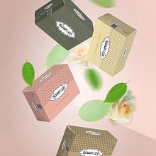 Soap & Co - Imagen conceptual . Un projet de Br, ing et identité, Conception de produits , et Design graphique de Daniel Asín - 23.11.2020