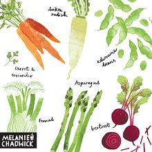 A-Z of Vegetables. Digital Illustration, Editorial Illustration, and Traditional illustration project by Melanie Chadwick - 11.24.2020