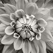 prior work <2012. Un proyecto de Fotografía de Ross Stockwell - 24.11.2020