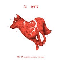 Good Wolf. Een project van Redactionele illustratie van Claudia Salgueiro - 07.04.2018