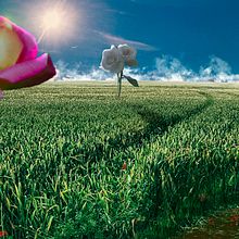 Mi Proyecto del curso: Matte Painting: creando mundos fotorrealistas. Photo Retouching project by josetsamuelhy - 11.25.2020