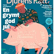 Editorial illustrations: Djurens Rätt. Editorial Design, and Editorial Illustration project by Emma Hanquist - 11.21.2020