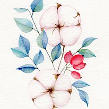Curso Ilustración botánica con acuarela. Colección algodón. Botanical Illustration project by María José Rodríguez Gallego - 11.25.2020