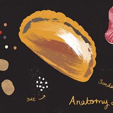 Anatomy of a Cornish Pasty Ein Projekt aus dem Bereich Digitale Illustration und Editorial Illustration von Melanie Chadwick - 25.11.2018