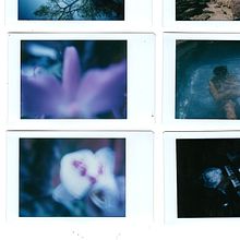 Fotografía botánica  . Film Photograph, and Fine-Art Photograph project by Paola Ëast - 11.27.2020