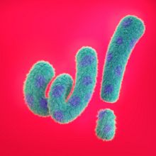 Lettering Peludo Ein Projekt aus dem Bereich 3D, Design, 3-D-Design, Design von Figuren, Design von 3-D-Figuren, Lettering, 3-D-Lettering und Digitales Lettering von Abel Justo Urrutia - 27.11.2020