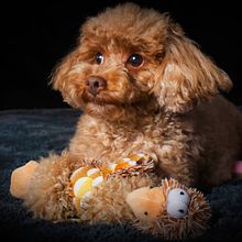Proyecto del Curso: Modelo Max en estudio y otros bichos de street.  . % Marian Ruiz tarafından hazırlanan Stüd, o Fotoğrafçılığı, Portre Fotoğrafçılığı, Dijital Fotoğrafçılık, Ve Açık Hava Fotoğrafçılığı projesi - 11.27.2020