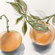 My project in Illustrating Nature: A Creative Exploration course. Drawing, and Painting project by Paula Montgomery - 11.29.2020