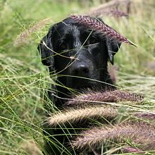 Proyecto en construcción. Digital Photograph project by Eduardo Gonzalez - 11.28.2020