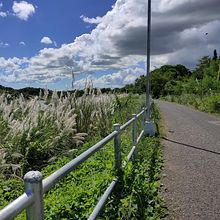 Childhood Games. Stor, telling, and Writing project by Japhet Gene Burgos - 11.29.2020