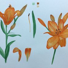 My project in Botanical Illustration with Watercolors course. Botanical Illustration, and Watercolor Painting project by agata_da - 11.29.2020