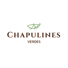 Mi Proyecto del curso: Diseño de logotipos: síntesis gráfica y minimalismo CHAPULINES VERDES . Design de Brenda Roa Montilla - 11.30.2020