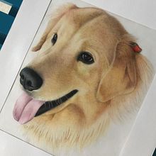 Bella. Traditional illustration project by Alini Laube - 03.04.2020