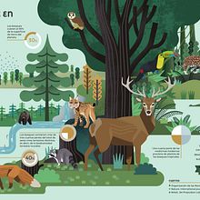 El bosque en cifras Ein Projekt aus dem Bereich Traditionelle Illustration, Digitale Illustration, Kinderillustration und Editorial Illustration von Ángel Svoboda - 30.11.2020