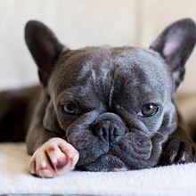 Nia . % ritacscampos tarafından hazırlanan Fotoğrafçılık projesi - 11.30.2020