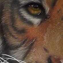 Tigre con aerógrafo. Un proyecto de Creatividad, Ilustración tradicional y Dibujo artístico de abreu-design - 02.12.2020