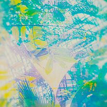 Botanischer Garten. Projekt z dziedziny Fotografia użytkownika Maria Louceiro - 02.02.2020