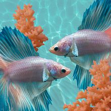 Mi Proyecto del curso: Color aplicado al diseño de interiores piscis. Un proyecto de Diseño, Diseño de interiores, Teoría del color, Corrección de color, Diseño, creación de muebles					, Arquitectura, Dirección de arte y Diseño gráfico de Valentina Leiva - 03.12.2020