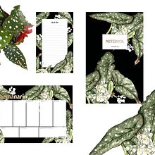 My project in Botanical Illustration with Watercolors course. Un progetto di Illustrazione tradizionale di Lili Kovács - 04.12.2020