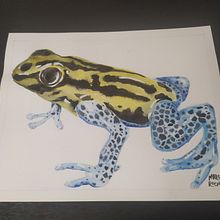 Nuevo proyecto 😊. Watercolor Painting project by malorierocha - 12.05.2020