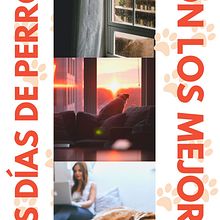 Los días de perros son los mejores Ein Projekt aus dem Bereich Cop und writing von Margalida Mesquida Artigues - 05.12.2020