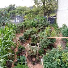 Huerta Falcon. L, and scape Architecture project by Cristian Bohorquez - 12.05.2020
