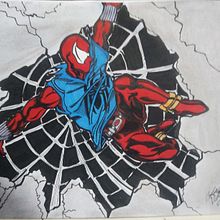 Homem-Aranha Escarlate Ein Projekt aus dem Bereich Bleistiftzeichnung von Thaciana Tavares - 06.12.2020