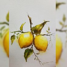 acuarela "fruto" . % james casella tarafından hazırlanan Güzel sanatlar projesi - 12.08.2020