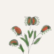 My project in Illustrating Nature: A Creative Exploration course. Botanical Illustration project by Raffaella Fiore - 12.08.2020