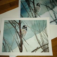 My project in Artistic Watercolor Techniques for Illustrating Birds course. Een project van Aquarelschilderen van ziva_kreativa - 08.12.2020