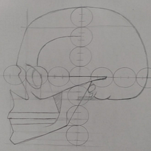 Mi Proyecto del curso: Dibujo anatómico para principiantes. Un progetto di Bozzetti, Disegno e Disegno a matita di Mauricio M. Sánchez - 08.12.2020