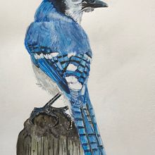 Mi Proyecto del curso: Ilustración naturalista de aves con acuarela. . Traditional illustration, Watercolor Painting, Realistic Drawing, and Naturalistic Illustration project by Patricia Rodriguez - 12.08.2020