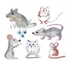 My project in Illustration Techniques to Unlock your Creativity course. Traditional illustration project by Ivonne Wierink - 12.09.2020