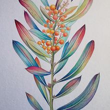 Mi Proyecto del curso: Ilustración botánica con acuarela. Un progetto di Illustrazione tradizionale e Illustrazione botanica di ENRIQUE PARRA - 09.12.2020