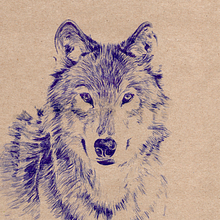 Wolf. Desenho realista e Ilustração tradicional projeto de Begoña Blázquez Parro - 10.12.2020