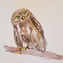 My project in Artistic Watercolor Techniques for Illustrating Birds course. Watercolor Painting project by kdrobertson - 12.10.2020