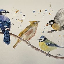 My project in Artistic Watercolor Techniques for Illustrating Birds course. Watercolor Painting project by Amy Lagers - 12.10.2020