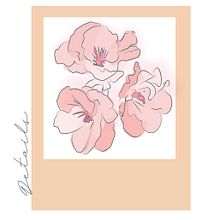 Flores de la Villa. Traditional illustration, Design, and Graphic Design project by Macarena Di Gregorio - 12.11.2020