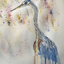 Watercolour Techniques for Illustrating Birds. Painting project by Fergal McGreevy - 12.11.2020