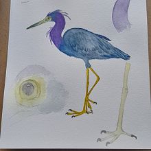 Proyecto :curso ilustración aves acuarela. Watercolor Painting project by mipropianube - 04.11.2021