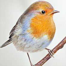 Mi Proyecto del curso: Ilustración naturalista de aves con acuarela. Projekt z dziedziny Trad, c, jna ilustracja i Malowanie akwarelą użytkownika ENRIQUE PARRA - 12.12.2020