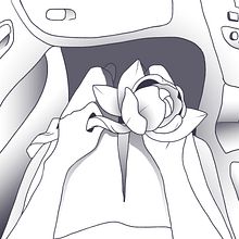 Magnolia. Un projet de B, e dessinée et Illustration numérique de Indeg May Cameron - 12.12.2020