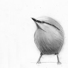 My project in Artistic Watercolor Techniques for Illustrating Birds course. Un progetto di Bozzetti di Ingrid H - 13.12.2020