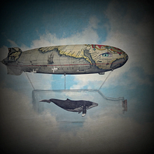 My project in Animated Collage with Adobe After Effects course. Projekt z dziedziny Animacje 2D,  Muz i ka użytkownika tony_logreco - 15.12.2020