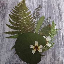 Mi Proyecto del curso: Técnicas básicas de prensado botánico. Un progetto di Artigianato e Belle arti di Aida Fernández Lago - 15.12.2020