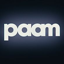 Motion Graphics: Paam Logo Reveal. Un proyecto de Animación y Motion Graphics de Arturo Aguilar - 15.12.2020