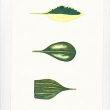 Texturas opacas, brillantes y con vellos . Artă stradală de Lucrecia Olive - 12.16.2020